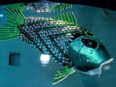 Des poissons-robots pour détecter la pollution de l'eau de Mer